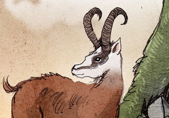 Croquis de dahu sur flanc de montagne