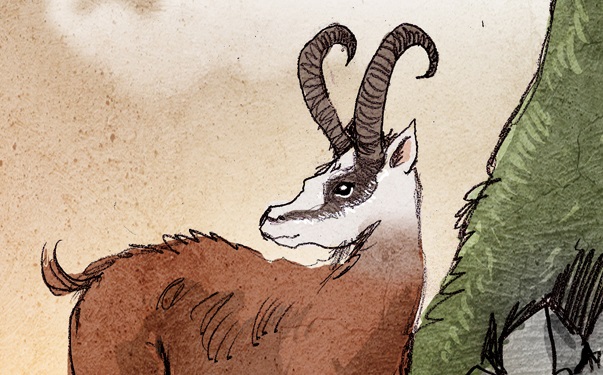 Croquis de dahu sur flanc de montagne