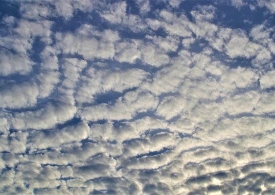 ciel de nuages comme des moutons