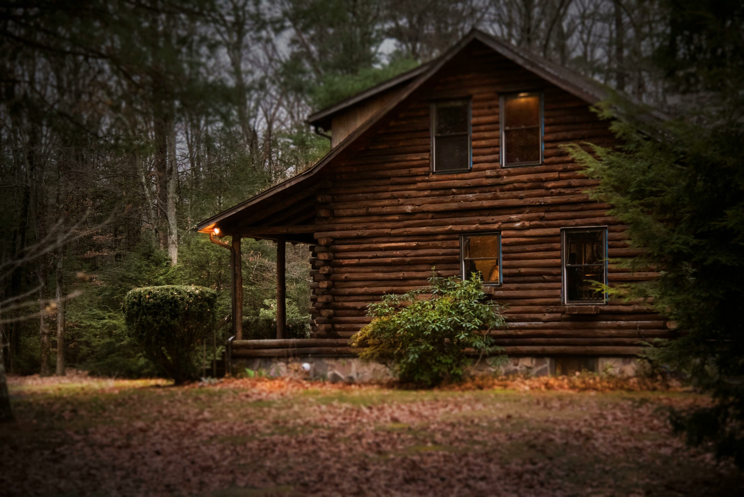 chalet dans la forêt