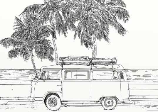 dessin noir et blanc qui représente un camion Wolkswagen type combi essence des années 60 avec sur le toit une planche à voile et en arrière plan la mer et des palmiers.